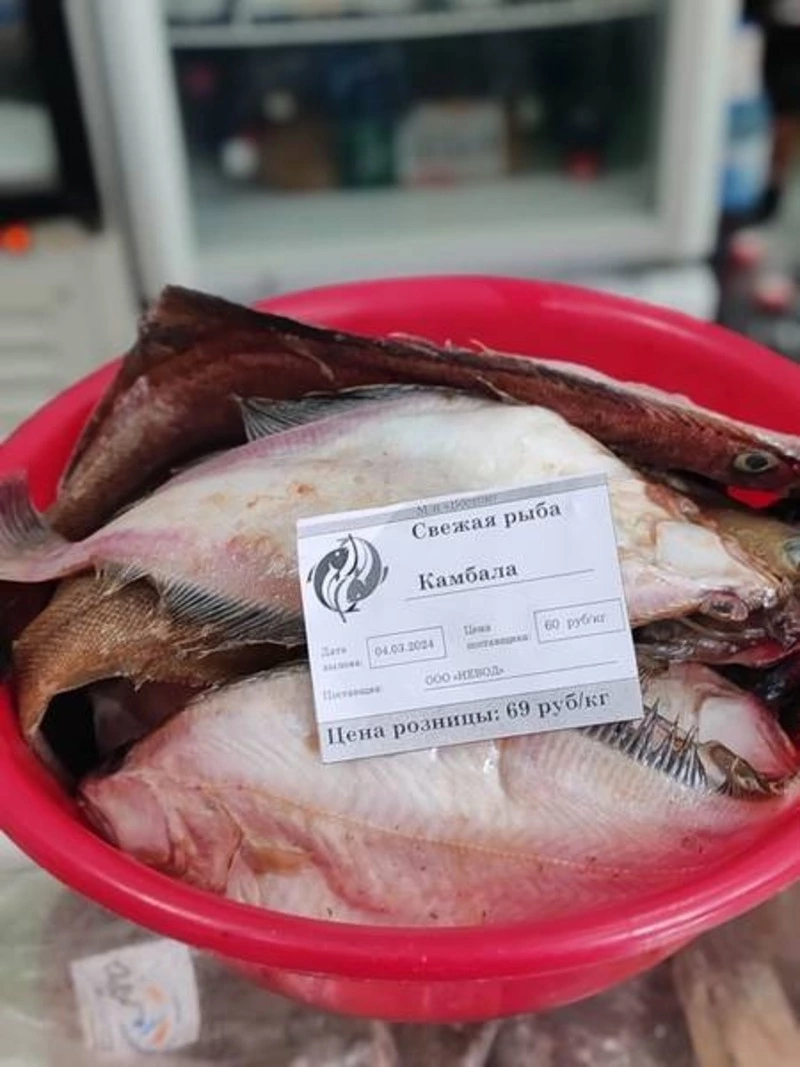 Около 500 тонн свежевыловленной рыбы по сниженным ценам приобрели сахалинцы и курильчане 