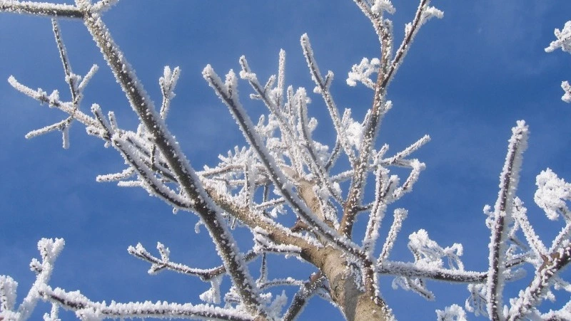 Погода на Сахалине и Курилах 16 февраля: снег и -5 градусов      