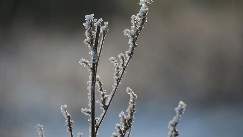Церковный праздник 30 ноября 2023: приметы, что нельзя делать в этот день