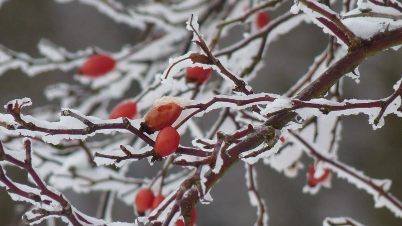 Народные приметы на 16 февраля: что нельзя делать в этот день 