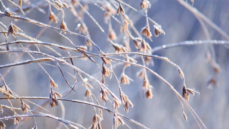 Церковный праздник 9 января 2024: что нельзя делать в этот день