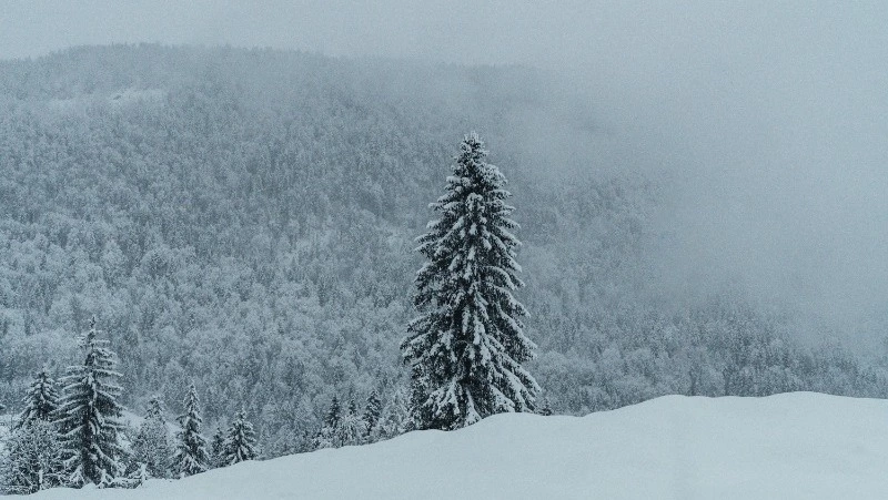 Церковный праздник 31 января 2024: приметы, что нельзя делать в этот день 