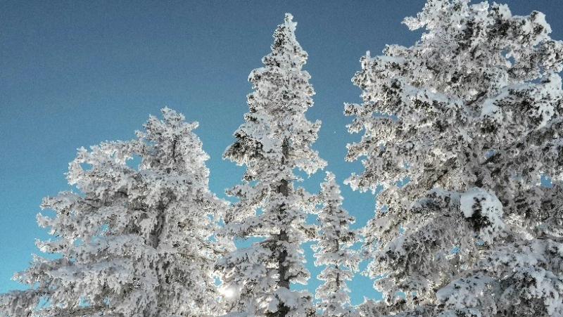 Церковный праздник 2 февраля 2024: приметы, что нельзя делать в этот день