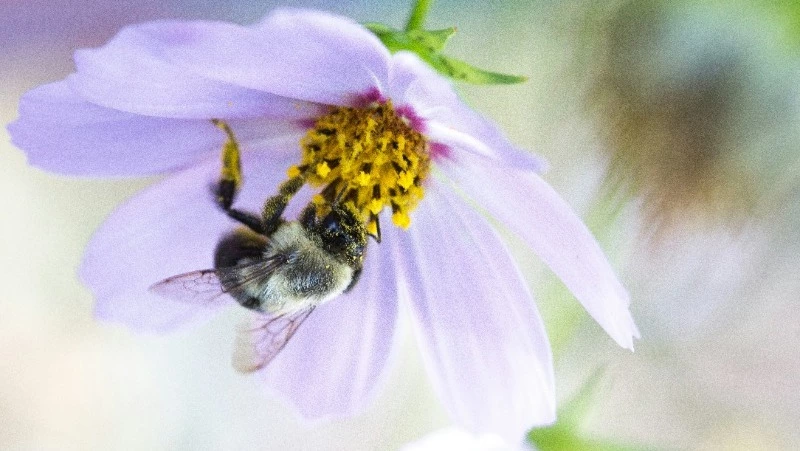 Народные приметы на 28 апреля: что нельзя делать в этот день  