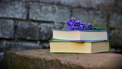 Тест на образование: все свободное время вы читаете книги, если узнаете эти 8 великих цитат  