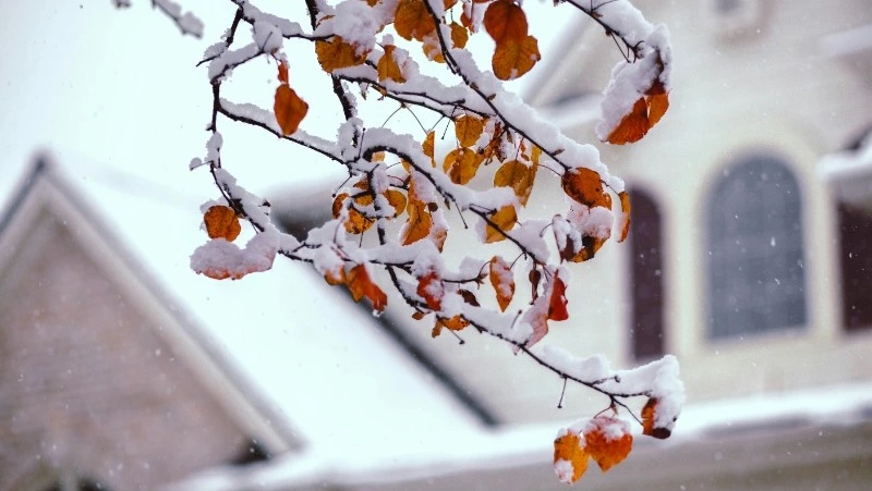 Народные приметы 17 марта: что нельзя делать в этот день