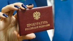 По лабиринтам права
