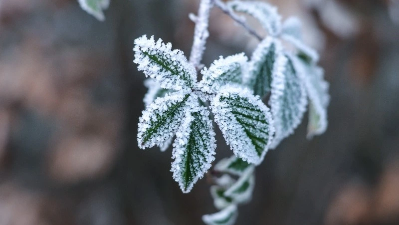 Церковный праздник 5 февраля 2024: приметы, что нельзя делать в этот день 