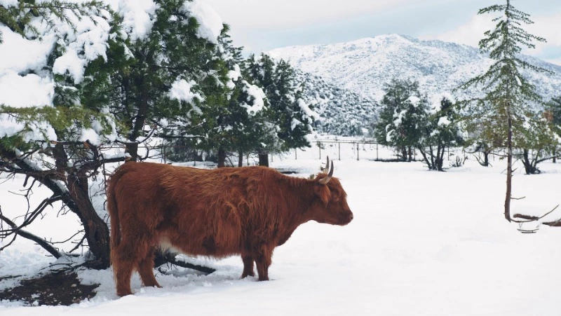 Народные приметы на 27 марта: что нельзя делать в этот день  