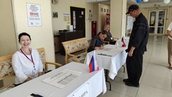Политконсультант: выборы на Сахалине проходят с масштабным информированием избирателей