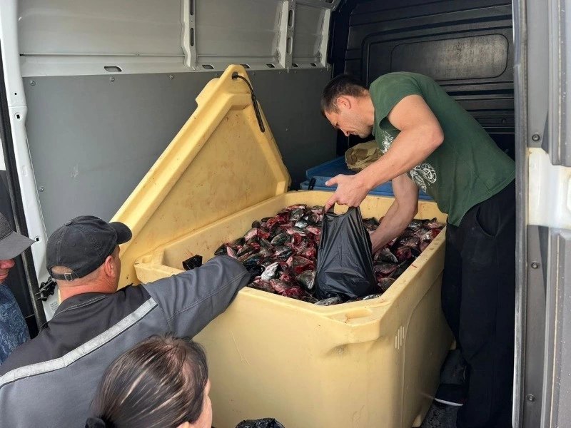 Доступная рыба для населения