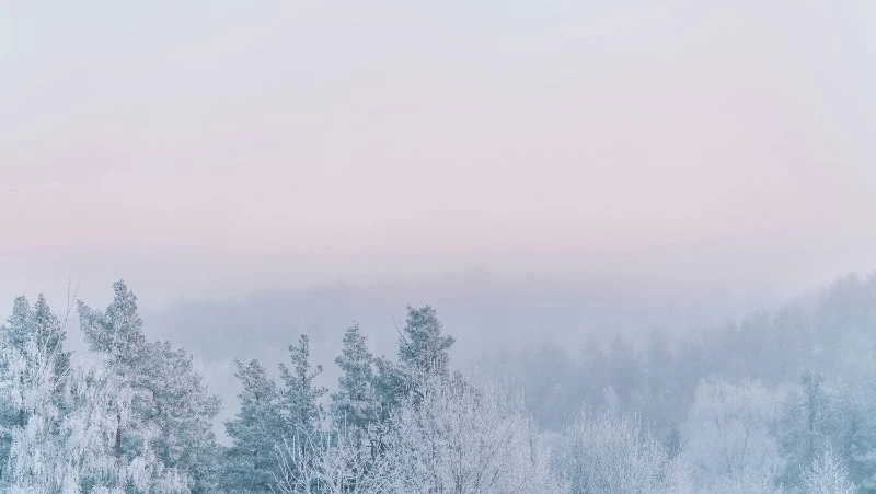 Прогноз погоды в Сахалинской области на 6 февраля: местами снег и -25 градусов 