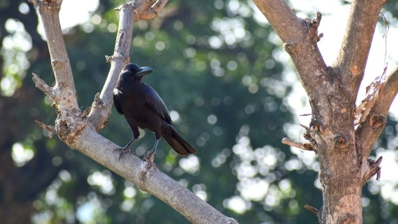 Народные приметы на 27 апреля: что нельзя делать в этот день 