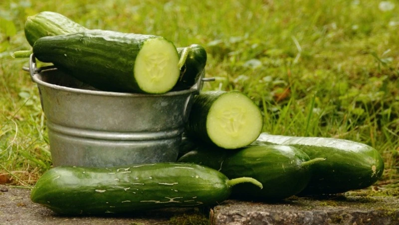  Народные приметы 1 мая: что нельзя делать в этот день  