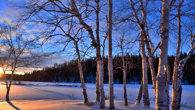 Народные приметы на 19 марта: что нельзя делать в этот день 