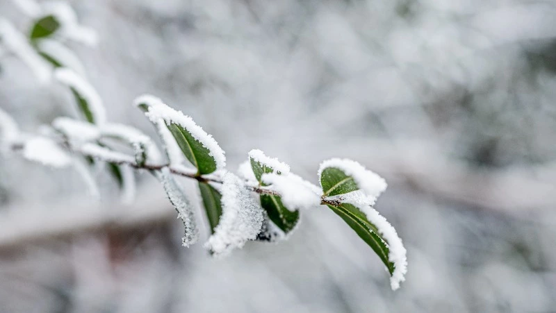 Церковный праздник 11 января 2024: что нельзя делать в этот день