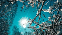 До +7 градусов прогреется воздух на Сахалине и Курилах 28 марта 