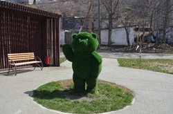 На улицах Холмска установили топиарии