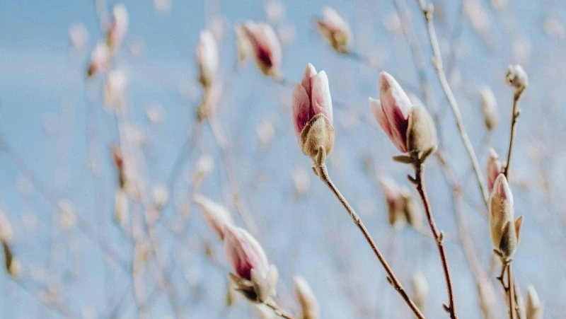 Народные приметы на 18 апреля: что нельзя делать в этот день  