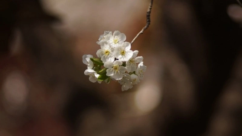 Народные приметы на 20 апреля: что нельзя делать в этот день