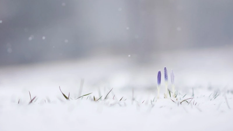 Народные приметы 1 апреля: что нельзя делать в этот день 