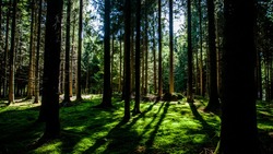 Народные приметы на 26 августа 2024: традиции, поверья, что нельзя делать