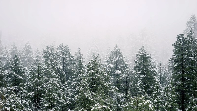 Народные приметы на 8 января 2024 года — что нельзя делать в этот день