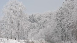 Сильный снег и метель: погода на Сахалине и Курилах 25 января 