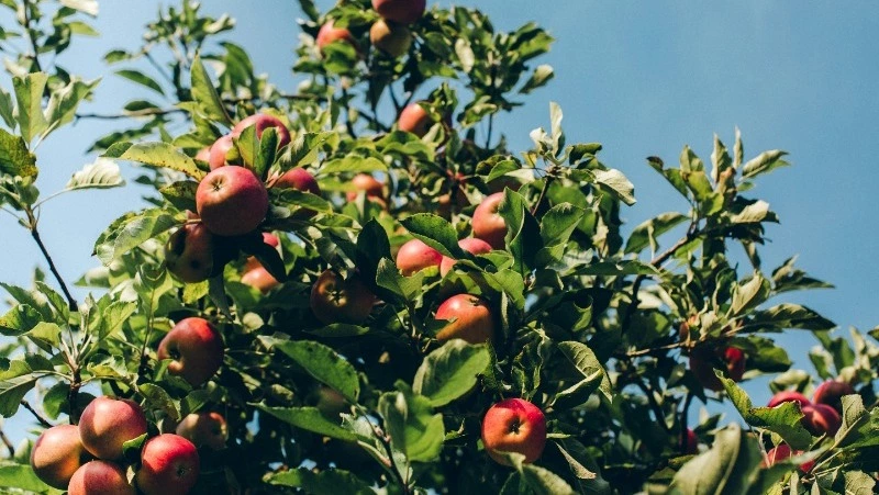 Народные приметы на 19 апреля: что нельзя делать в этот день 