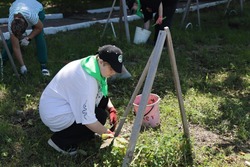 Юные экологи Холмска заботятся о зеленом будущем города