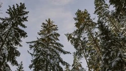 Циклоны и до +3 градусов: погода на Сахалине и Курилах на предстоящую неделю