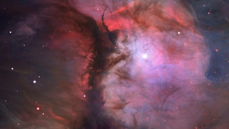 Гороскоп для всех знаков зодиака на 25 января 2024 года 