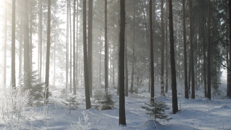 Церковный праздник 22 декабря 2023: что нельзя делать в этот день