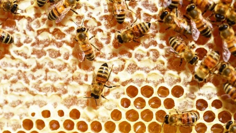 Народные приметы 30 апреля: что нельзя делать в этот день 