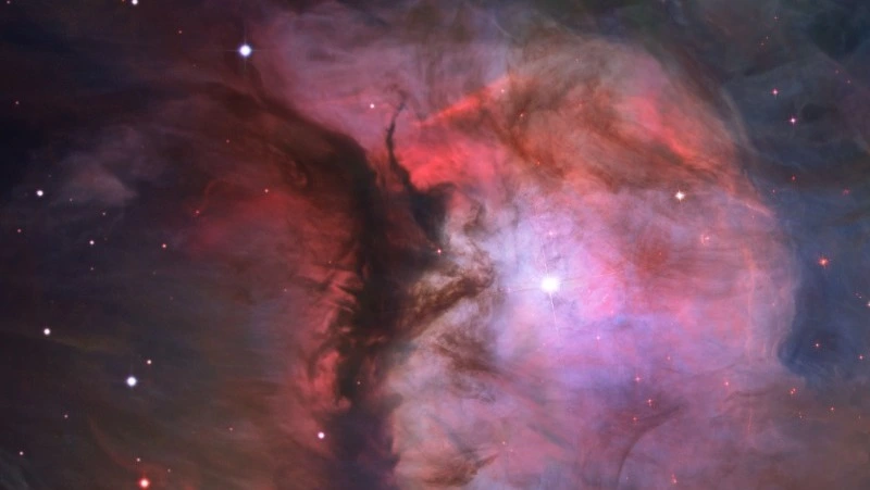 Гороскоп для всех знаков зодиака на 10 декабря 2023 года